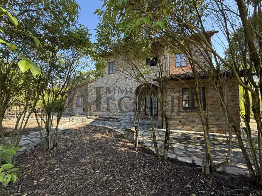 Immagine 26 di Rustico / casale in vendita  in Po' del vento a Piegaro