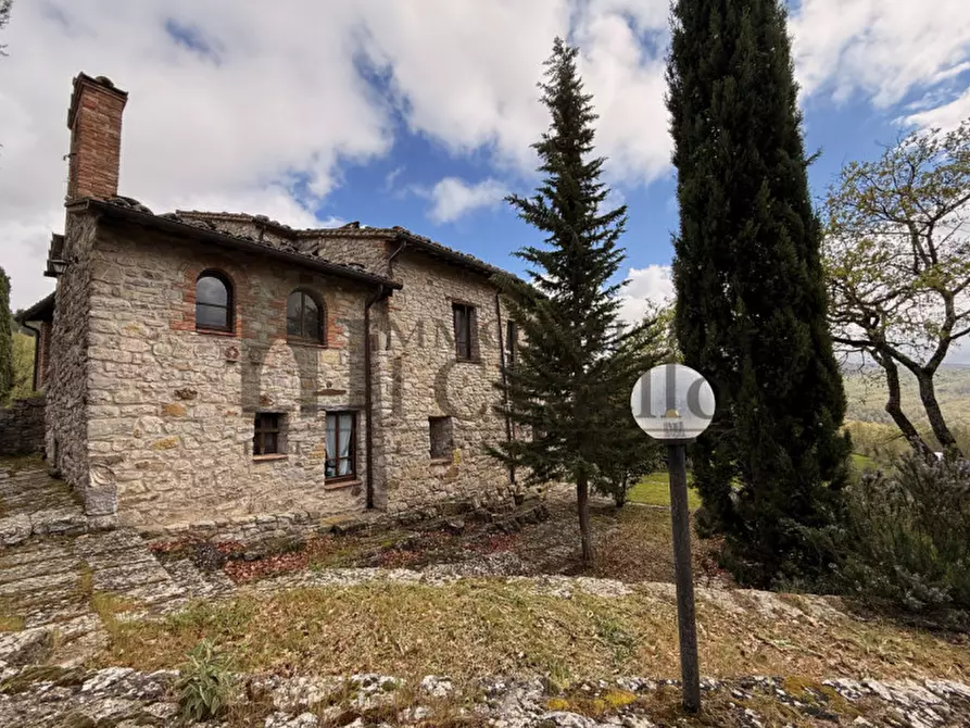 Immagine 30 di Rustico / casale in vendita  in Po' del vento a Piegaro