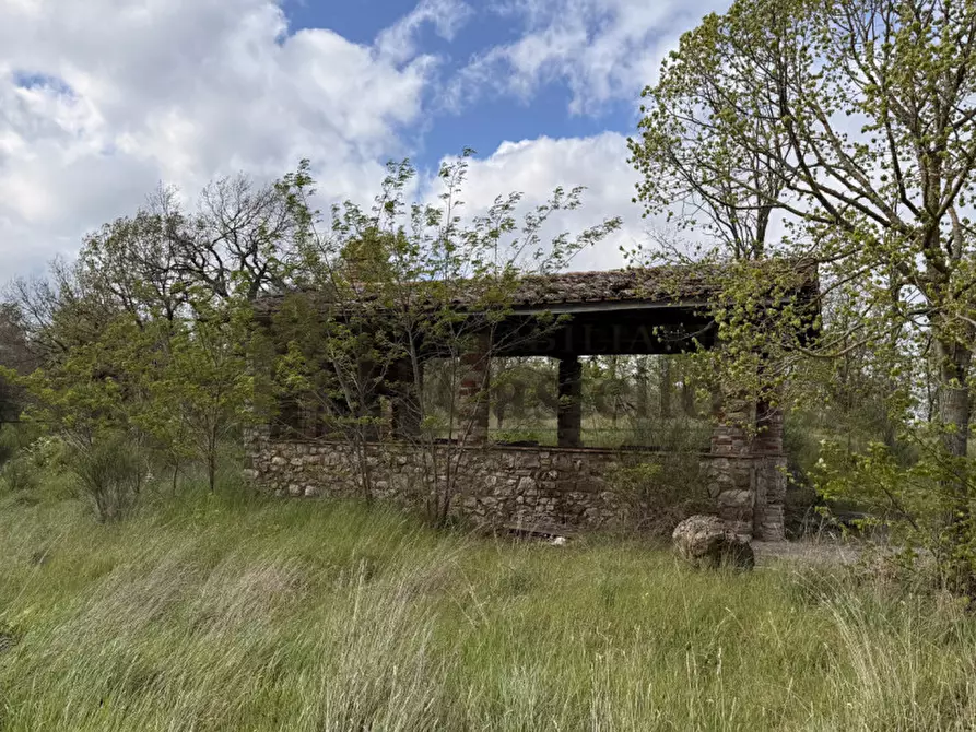 Immagine 33 di Rustico / casale in vendita  in Po' del vento a Piegaro