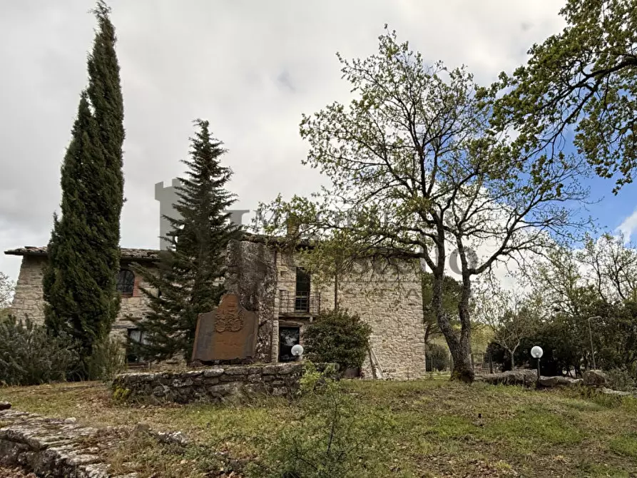 Immagine 35 di Rustico / casale in vendita  in Po' del vento a Piegaro