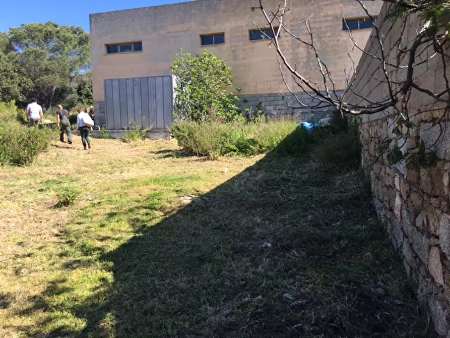 Immagine 5 di Terreno in vendita  in Regione Mongiardino a La Maddalena
