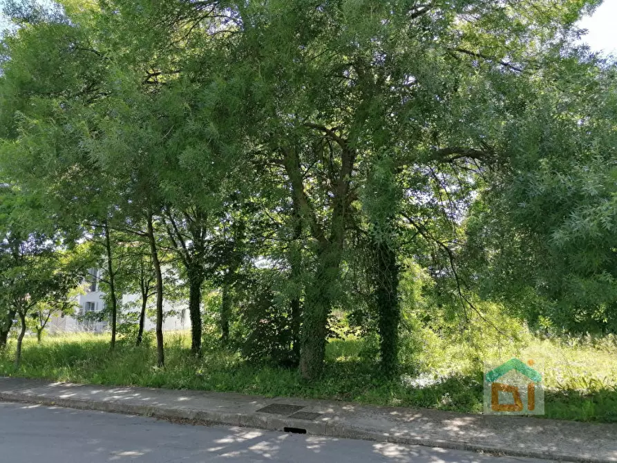 Immagine 3 di Terreno in vendita  in via dal crist a Aiello Del Friuli