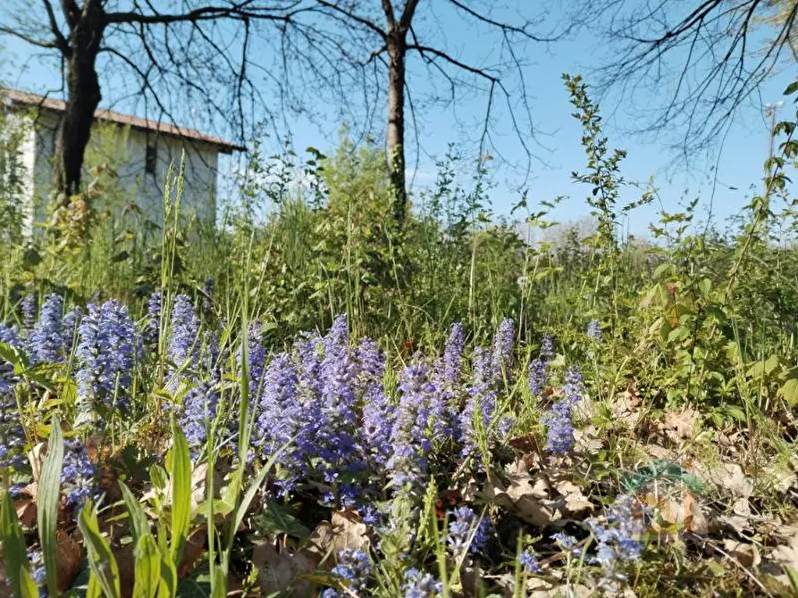 Immagine 6 di Terreno in vendita  in via dal crist a Aiello Del Friuli