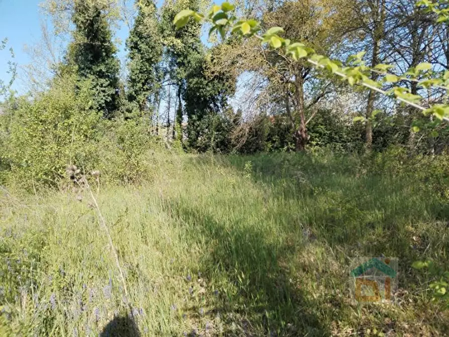 Immagine 14 di Terreno in vendita  in via dal crist a Aiello Del Friuli