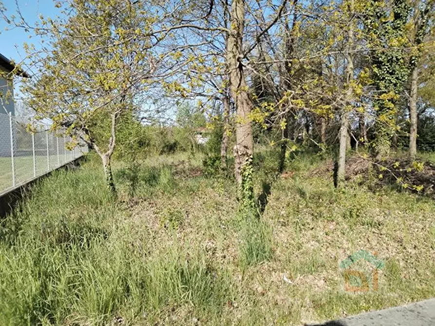 Immagine 17 di Terreno in vendita  in via dal crist a Aiello Del Friuli