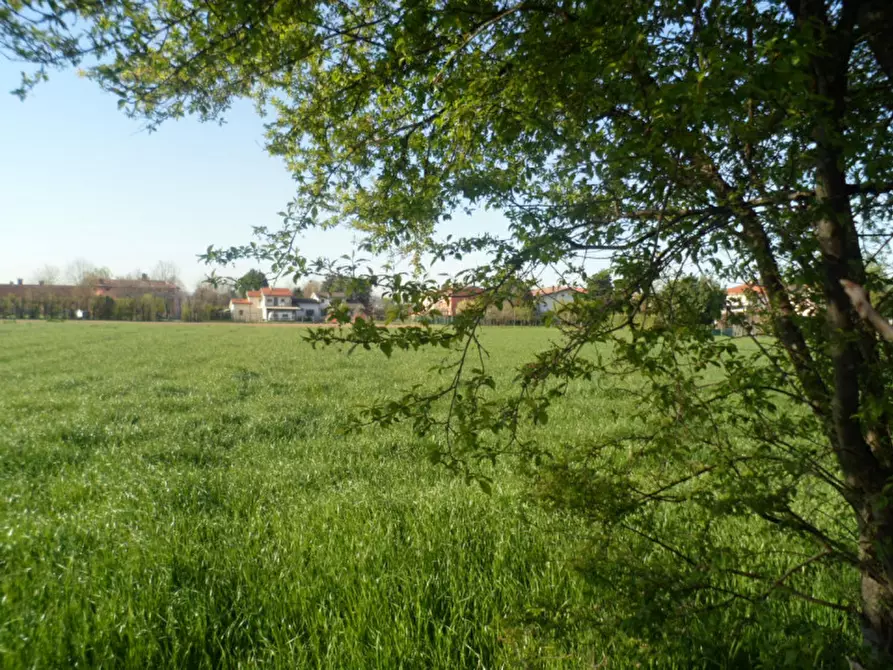 Immagine 13 di Casa bifamiliare in vendita  in Via Chiesa a Monticello Conte Otto