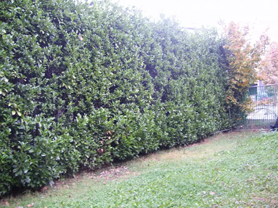 Immagine 15 di Casa bifamiliare in vendita  in Via Chiesa a Monticello Conte Otto