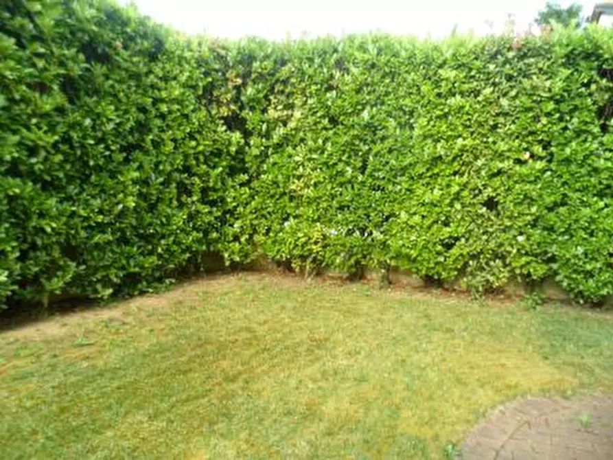 Immagine 16 di Casa bifamiliare in vendita  in Via Chiesa a Monticello Conte Otto