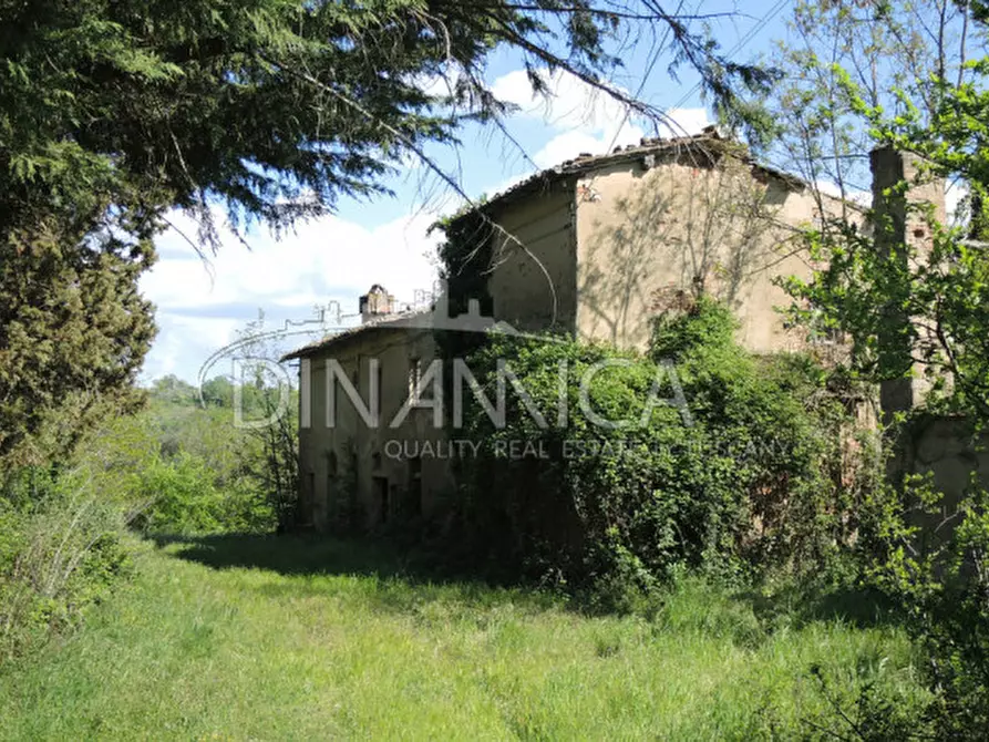 Immagine 3 di Rustico / casale in vendita  a San Miniato