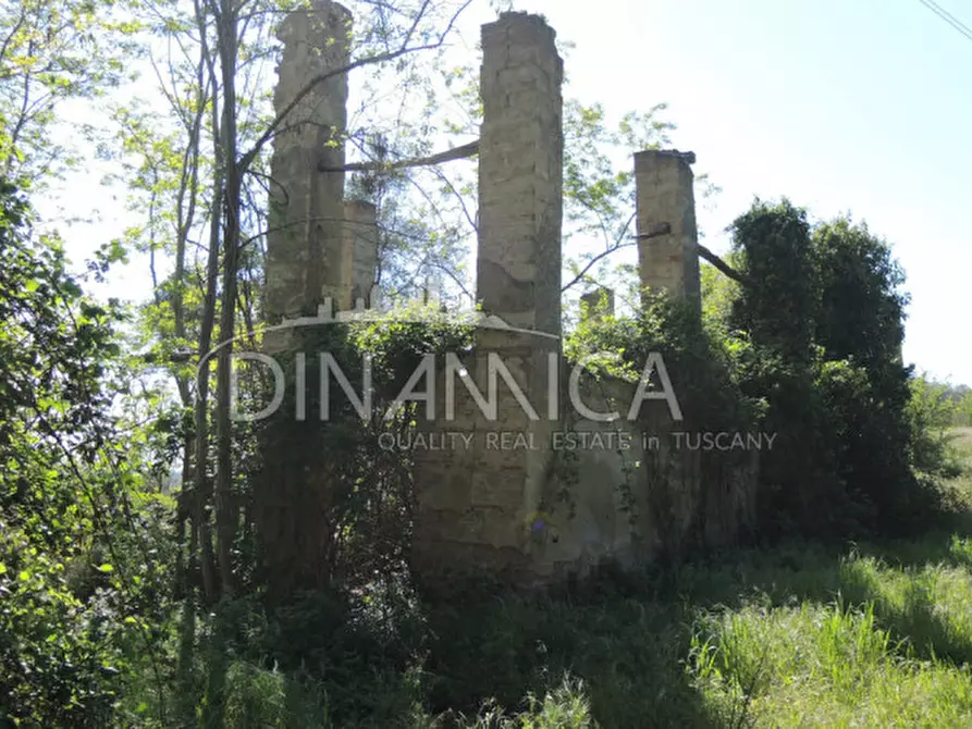 Immagine 5 di Rustico / casale in vendita  a San Miniato