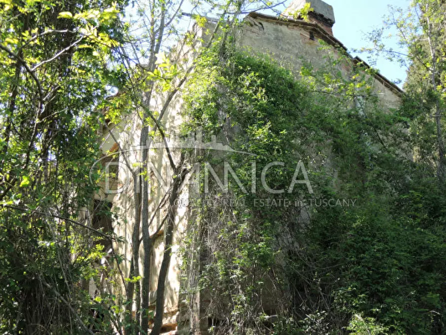 Immagine 15 di Rustico / casale in vendita  a San Miniato