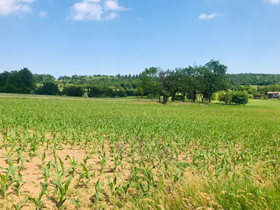 Immagine 2 di Terreno in vendita  in Via Corti a Gavardo