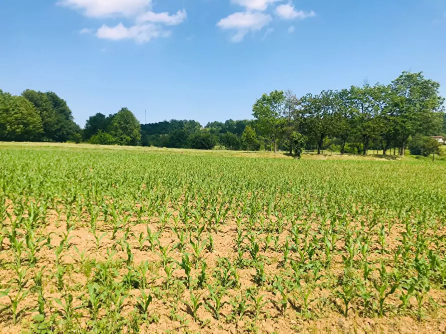 Immagine 4 di Terreno in vendita  in Via Corti a Gavardo