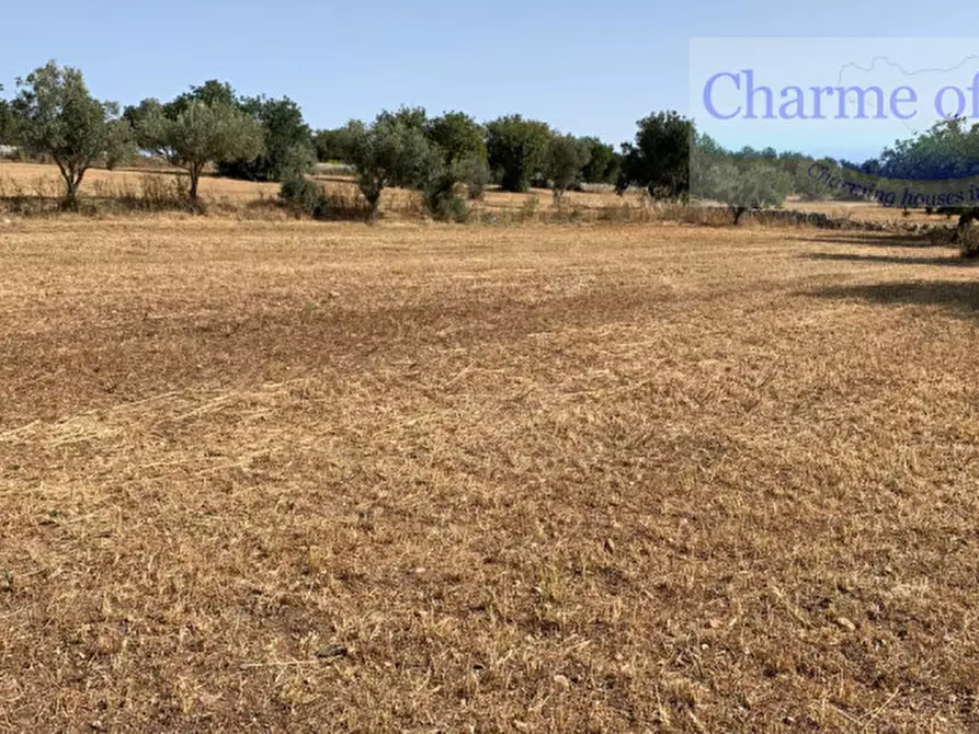 Immagine 6 di Casa indipendente in vendita  in Contrada Graffetta a Modica