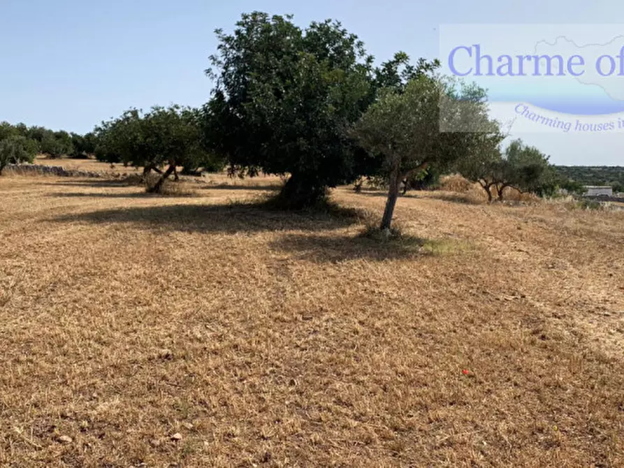 Immagine 17 di Casa indipendente in vendita  in Contrada Graffetta a Modica