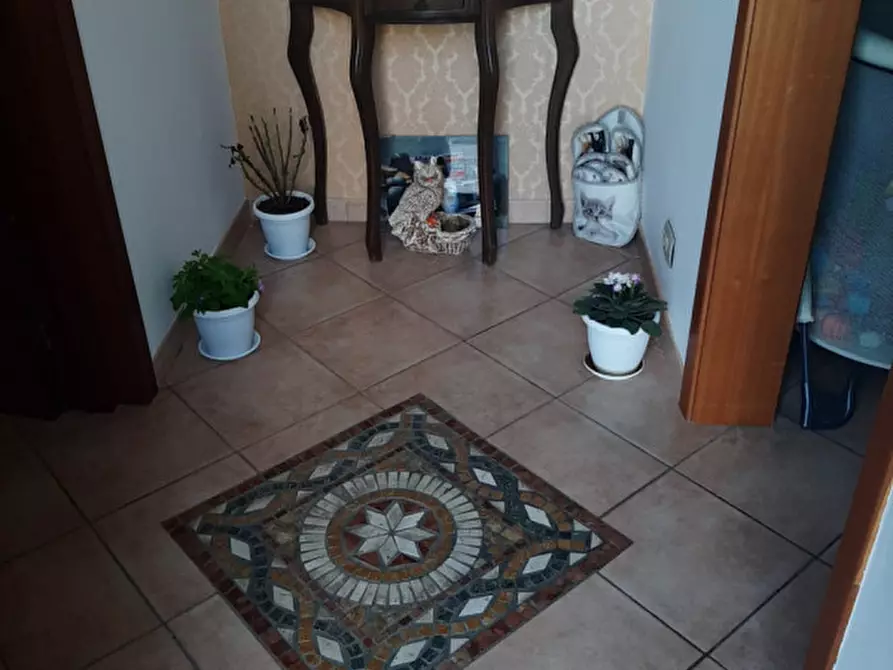 Immagine 45 di Casa indipendente in vendita  in Via Garofalo 29 a Modica