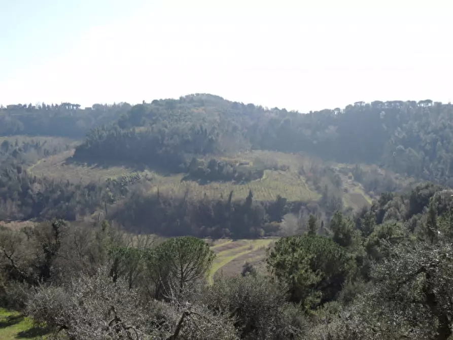 Immagine 21 di Rustico / casale in vendita  a Palaia