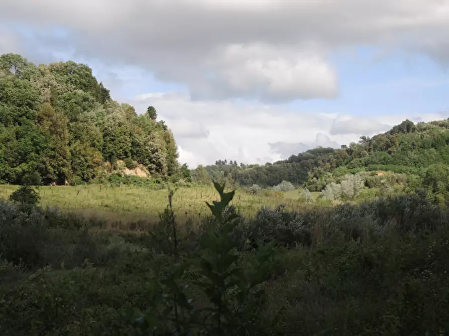 Immagine 22 di Rustico / casale in vendita  a Palaia