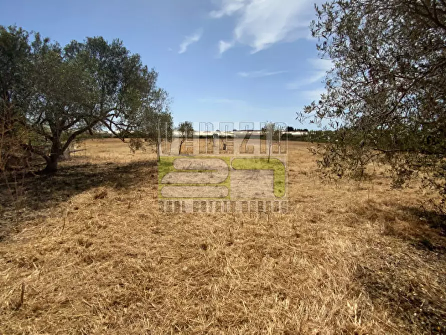 Immagine 28 di Rustico / casale in vendita  in condrada chiaramiraro cuffara a Portopalo Di Capo Passero