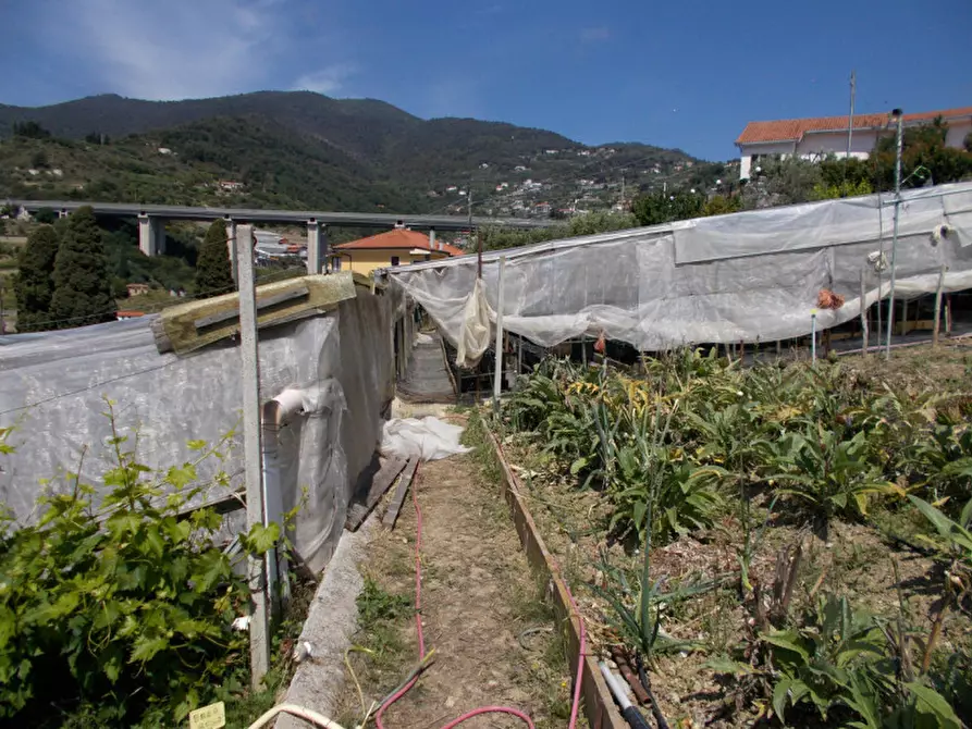 Immagine 12 di Terreno in vendita  in Via  Giacomo Leopardi a San Remo