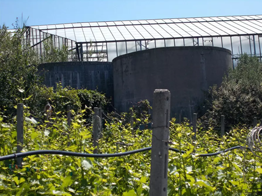 Immagine 13 di Terreno in vendita  in Via  Giacomo Leopardi a San Remo