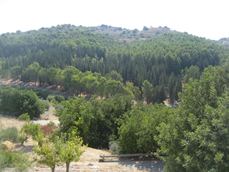 Immagine 20 di Rustico / casale in vendita  in via comunale femmina morta bibiola crucià a Modica