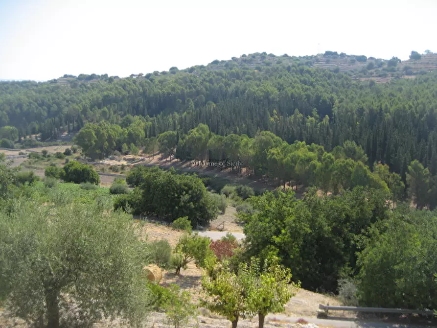 Immagine 21 di Rustico / casale in vendita  in via comunale femmina morta bibiola crucià a Modica