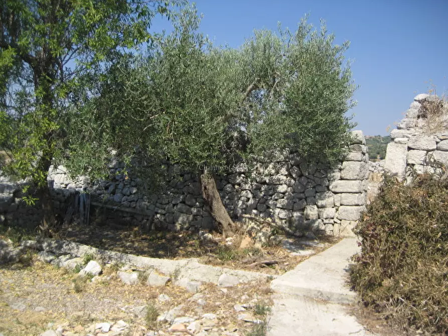 Immagine 26 di Rustico / casale in vendita  in via comunale femmina morta bibiola crucià a Modica