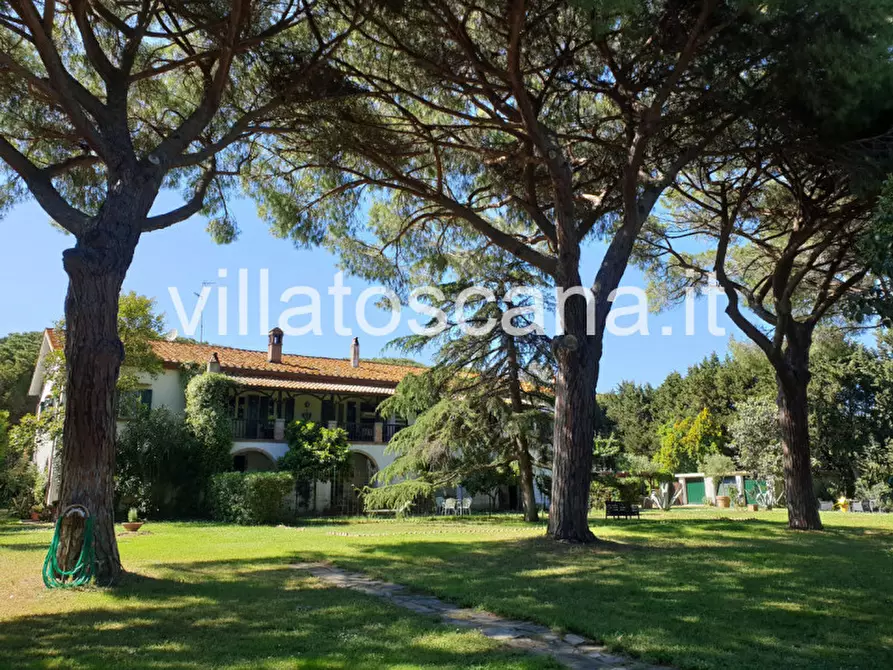 Immagine 3 di Appartamento in vendita  a Castiglione Della Pescaia