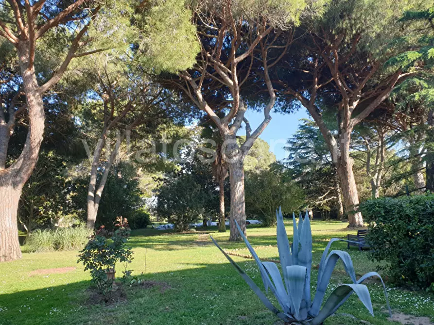 Immagine 5 di Appartamento in vendita  a Castiglione Della Pescaia