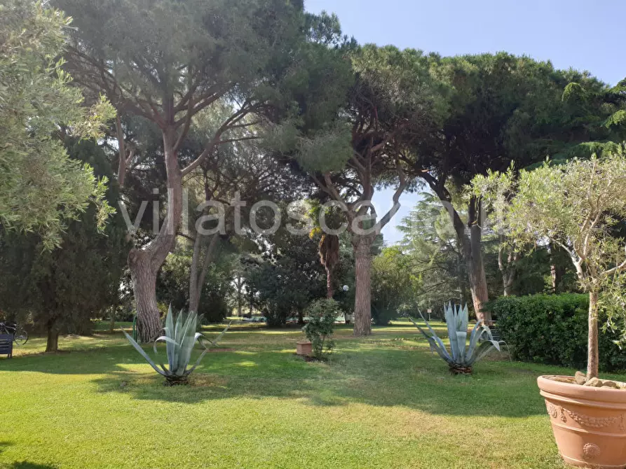 Immagine 6 di Appartamento in vendita  a Castiglione Della Pescaia