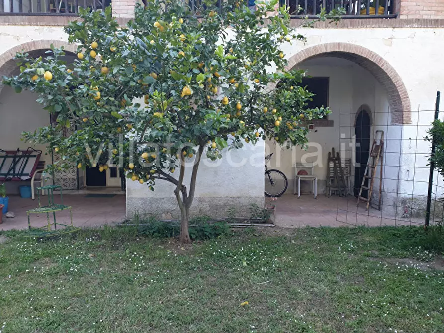 Immagine 17 di Appartamento in vendita  a Castiglione Della Pescaia