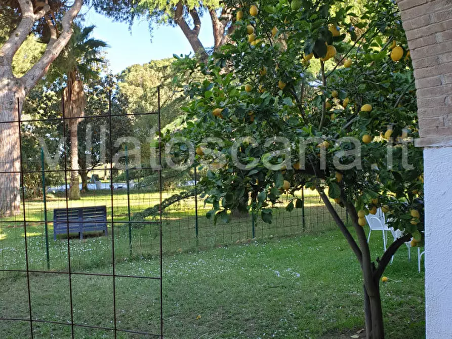 Immagine 18 di Appartamento in vendita  a Castiglione Della Pescaia