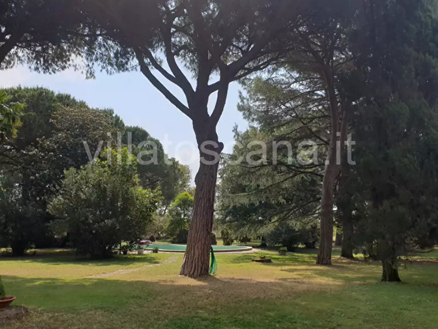 Immagine 19 di Appartamento in vendita  a Castiglione Della Pescaia