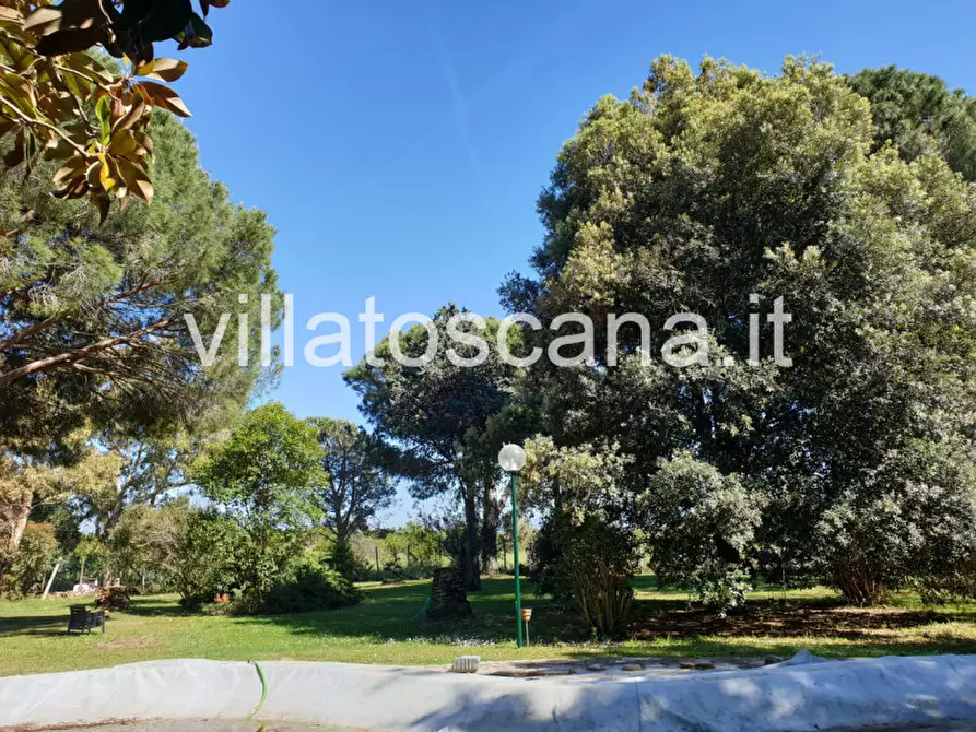 Immagine 20 di Appartamento in vendita  a Castiglione Della Pescaia