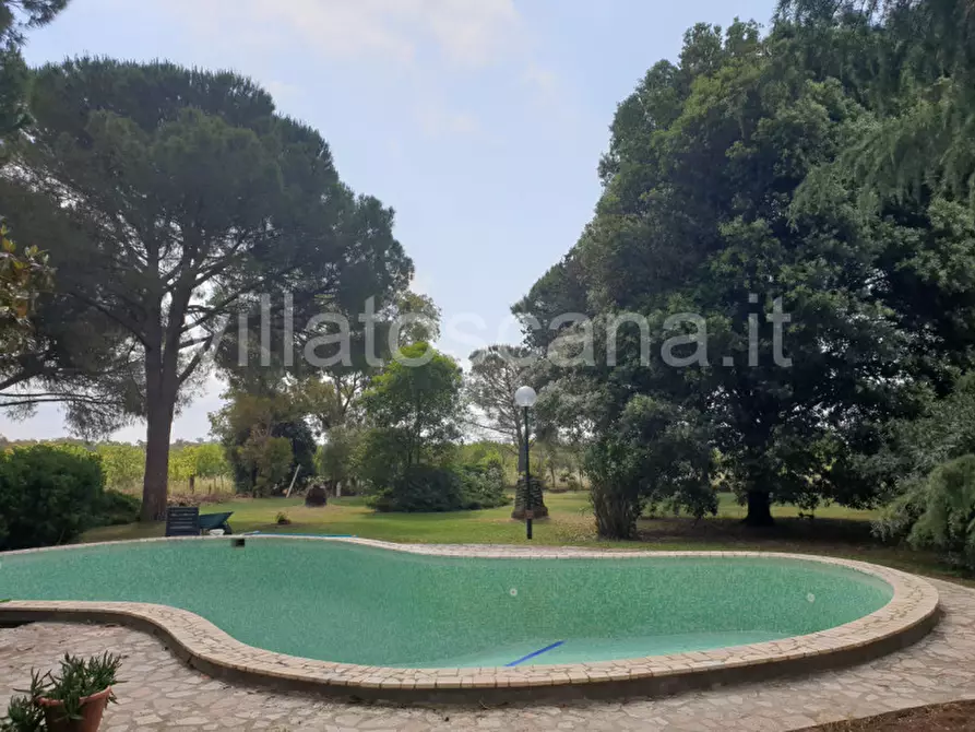 Immagine 23 di Appartamento in vendita  a Castiglione Della Pescaia