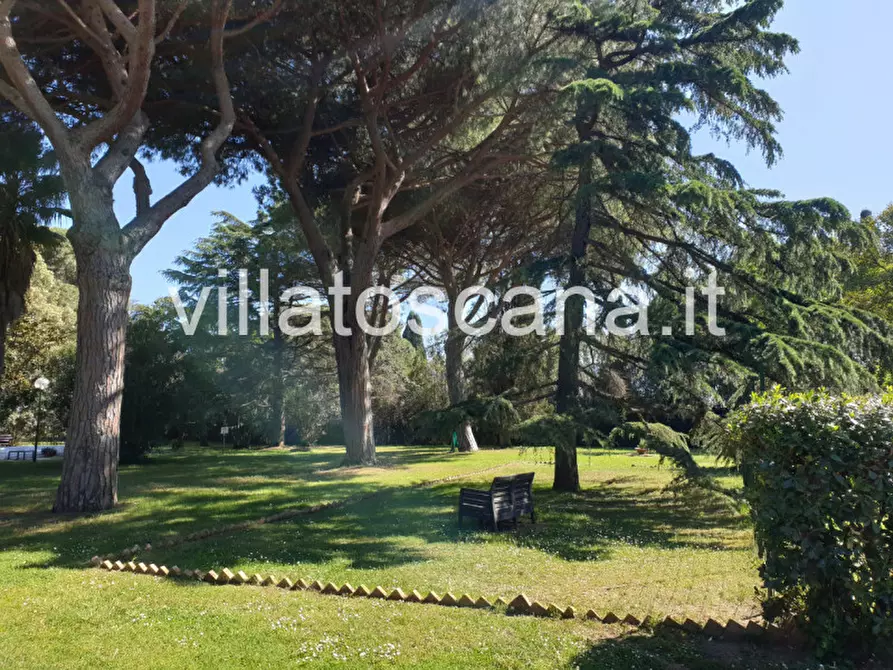 Immagine 24 di Appartamento in vendita  a Castiglione Della Pescaia