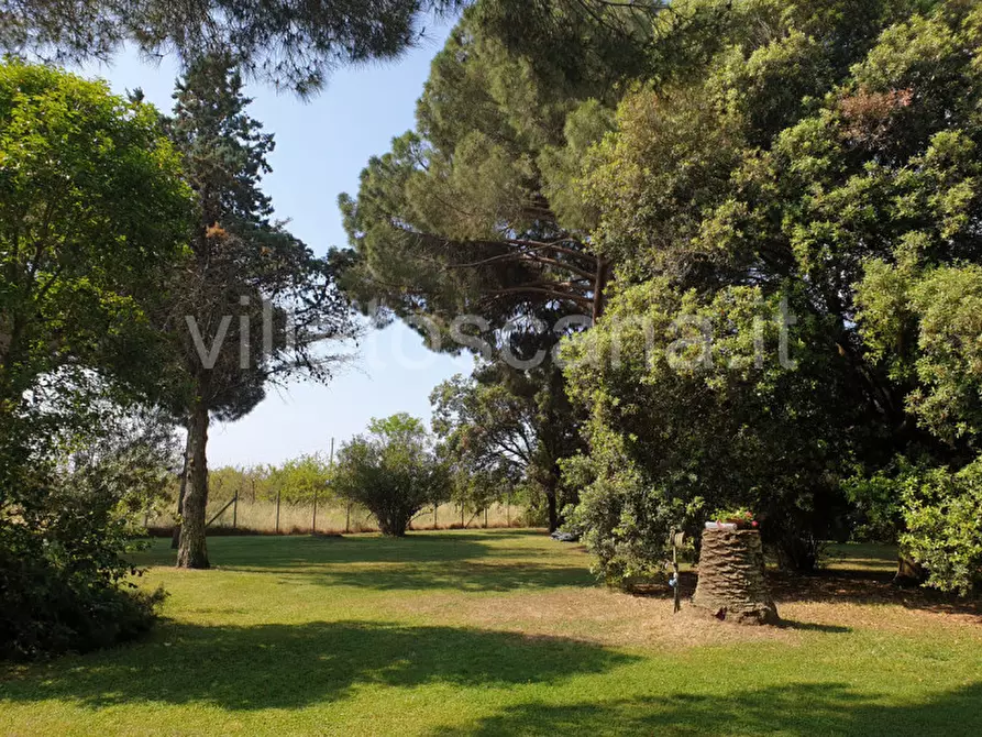 Immagine 25 di Appartamento in vendita  a Castiglione Della Pescaia