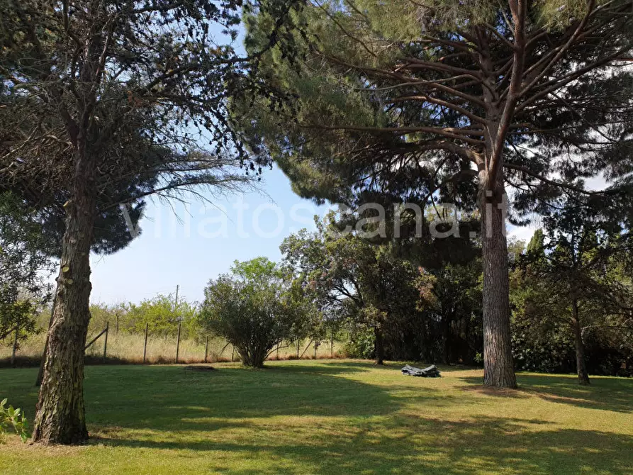 Immagine 26 di Appartamento in vendita  a Castiglione Della Pescaia