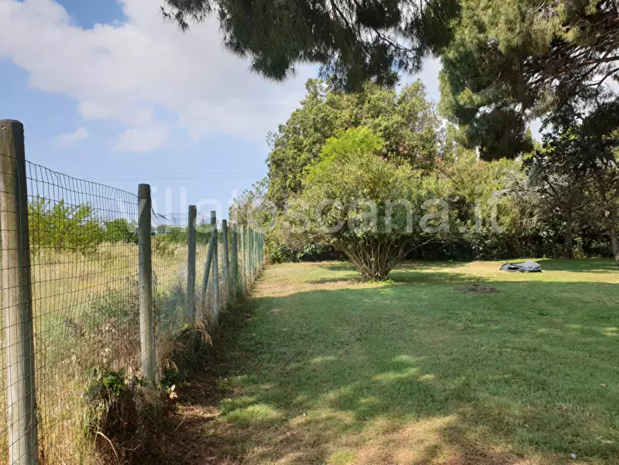 Immagine 27 di Appartamento in vendita  a Castiglione Della Pescaia