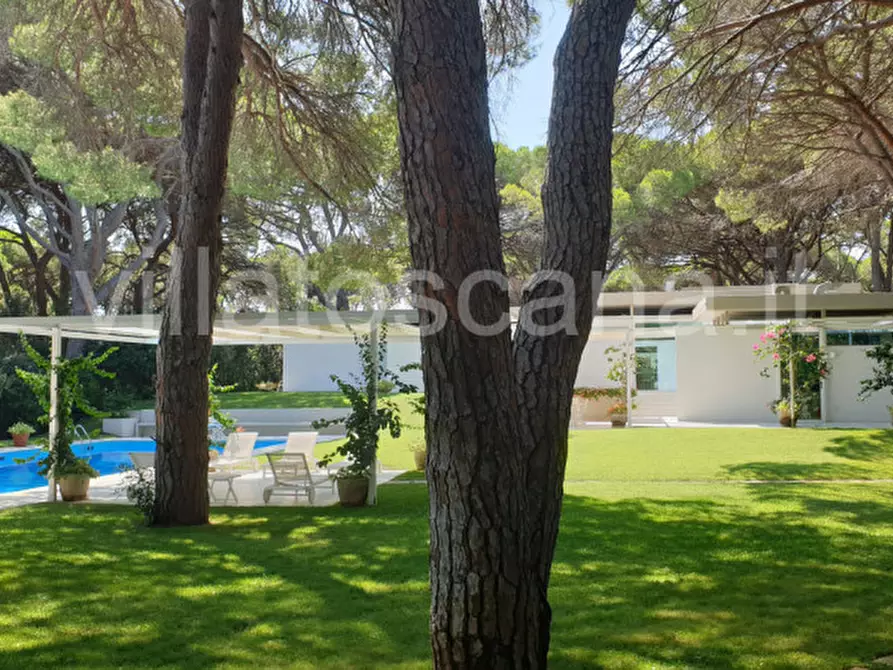 Immagine 10 di Villa in vendita  in Roccamare a Castiglione Della Pescaia