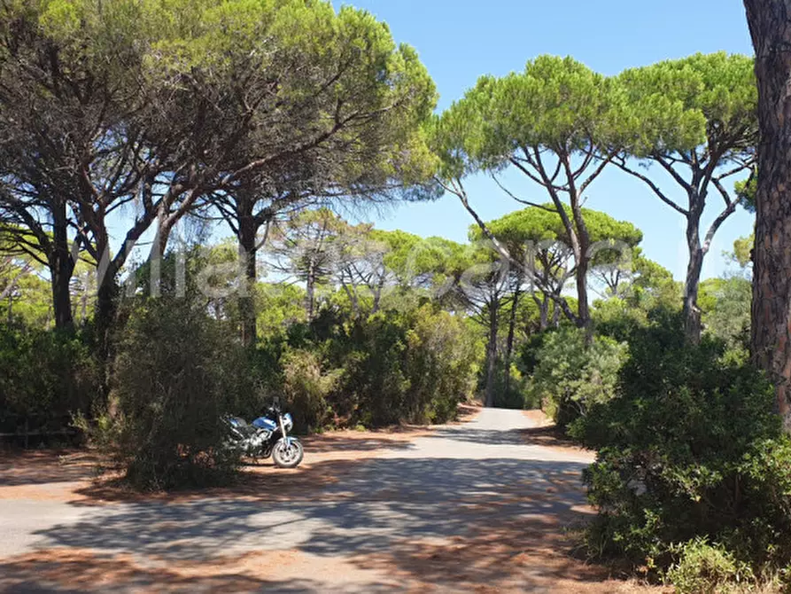 Immagine 13 di Villa in vendita  in Roccamare a Castiglione Della Pescaia