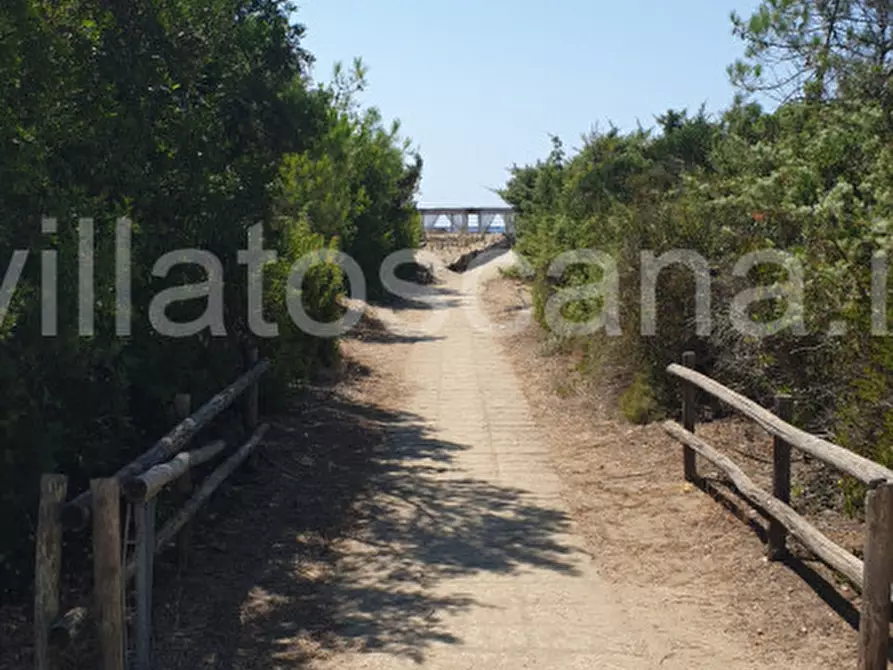 Immagine 17 di Villa in vendita  in Roccamare a Castiglione Della Pescaia