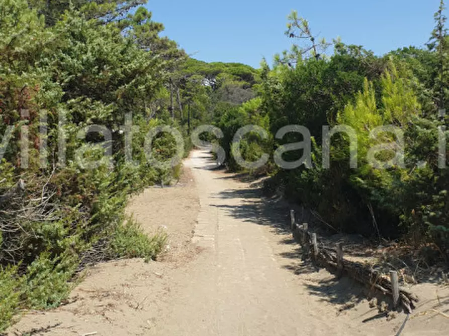 Immagine 23 di Villa in vendita  in Roccamare a Castiglione Della Pescaia