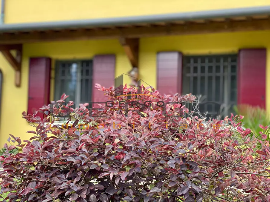 Immagine 31 di Casa indipendente in vendita  in Via Piero Maroncelli a Albignasego