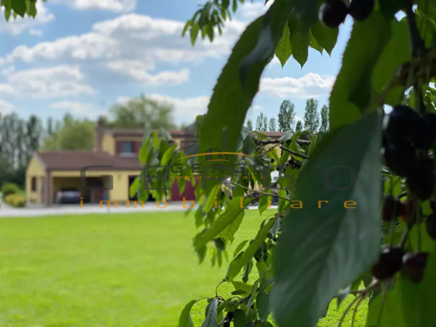 Immagine 35 di Casa indipendente in vendita  in Via Piero Maroncelli a Albignasego