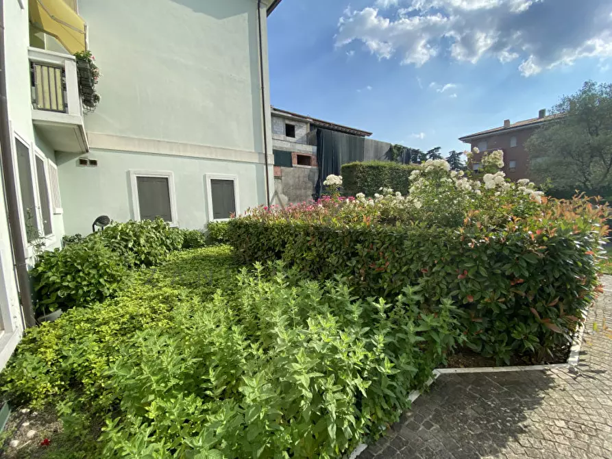 Immagine 23 di Negozio in vendita  a Castelfranco Veneto