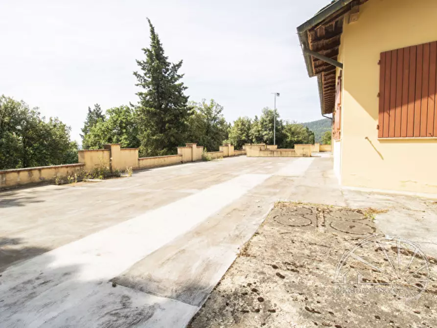 Immagine 45 di Villa in vendita  a Carmignano