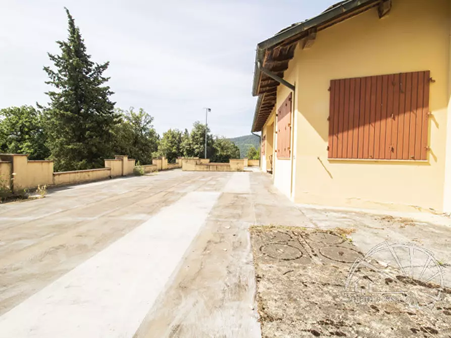 Immagine 46 di Villa in vendita  a Carmignano