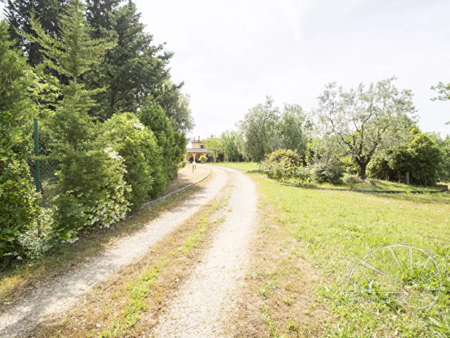Immagine 49 di Villa in vendita  a Carmignano